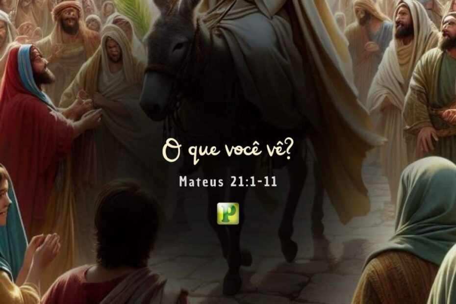 O que você vê? - Mateus 21:1-11