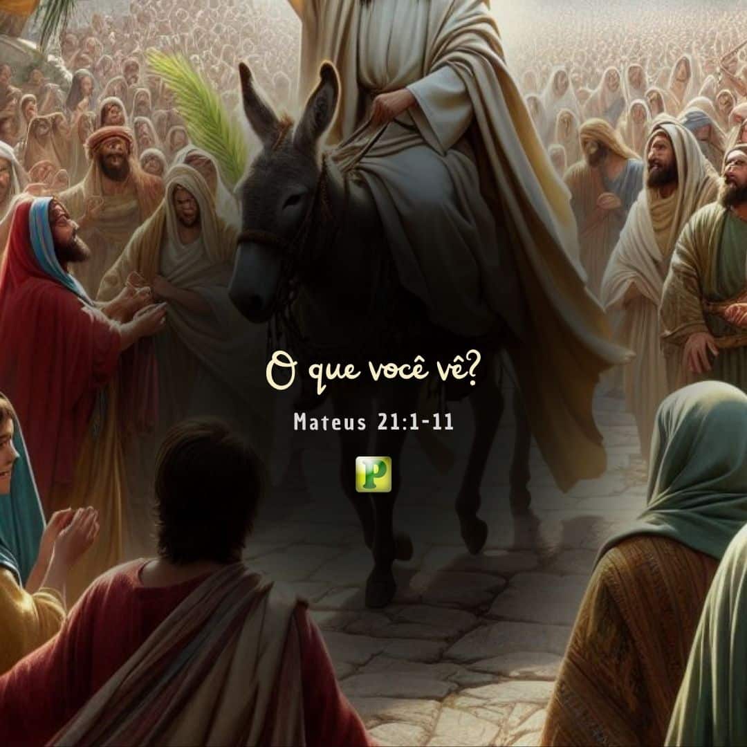O que você vê? - Mateus 21:1-11