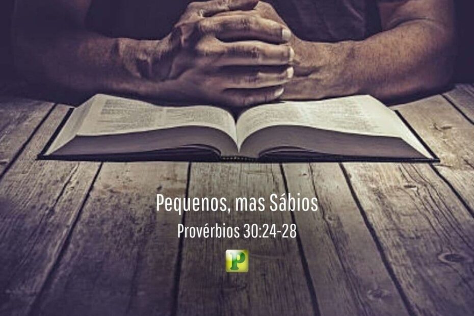 Pequenos, mas Sábios - Provérbios 30:24-28
