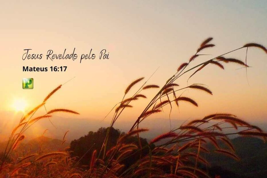 Jesus Revelado pelo Pai - Mateus 16:17
