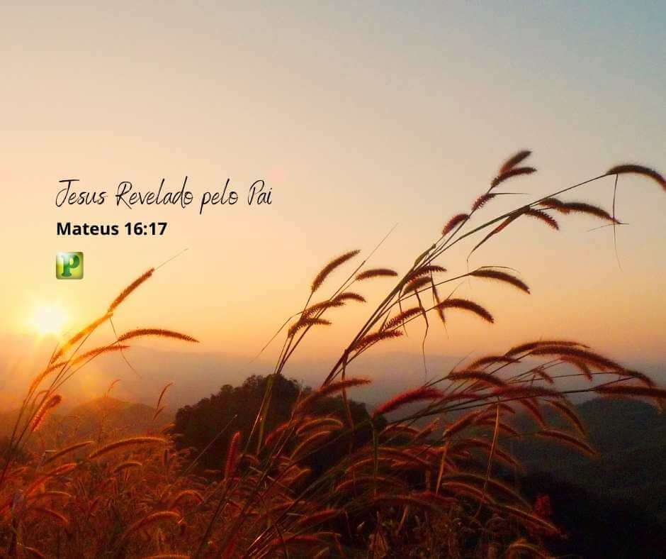 Jesus Revelado pelo Pai - Mateus 16:17