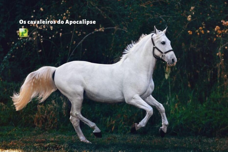 Os quatro cavaleiros do Apocalipse - Apocalipse 6:1-8