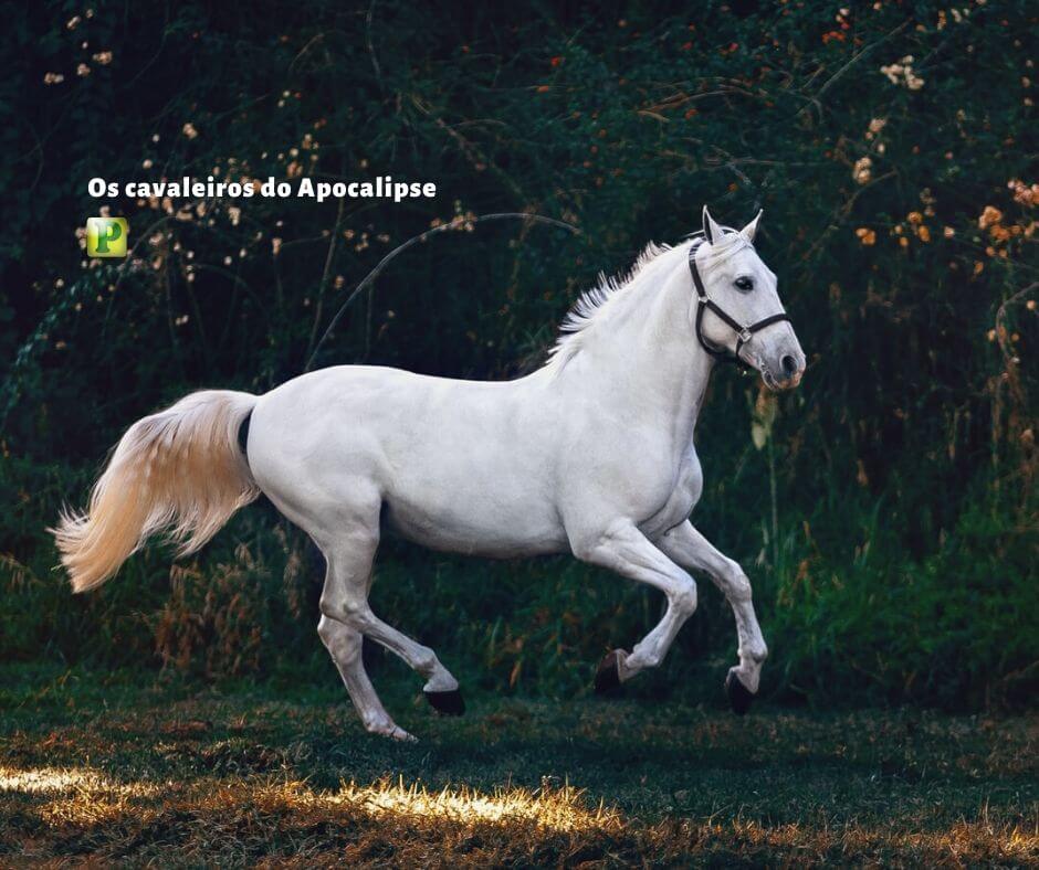 Os quatro cavaleiros do Apocalipse - Apocalipse 6:1-8