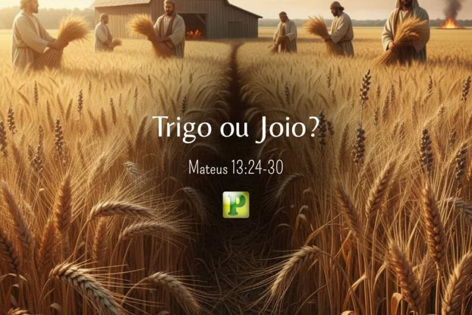Trigo ou Joio? - Mateus 13:24-30