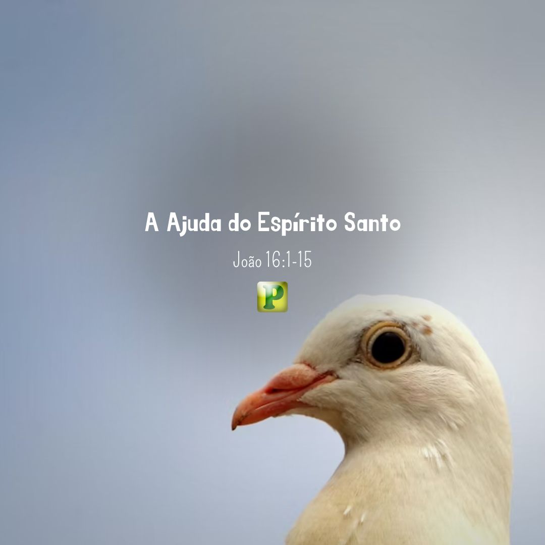 A Ajuda do Espírito Santo - João 16:1-15
