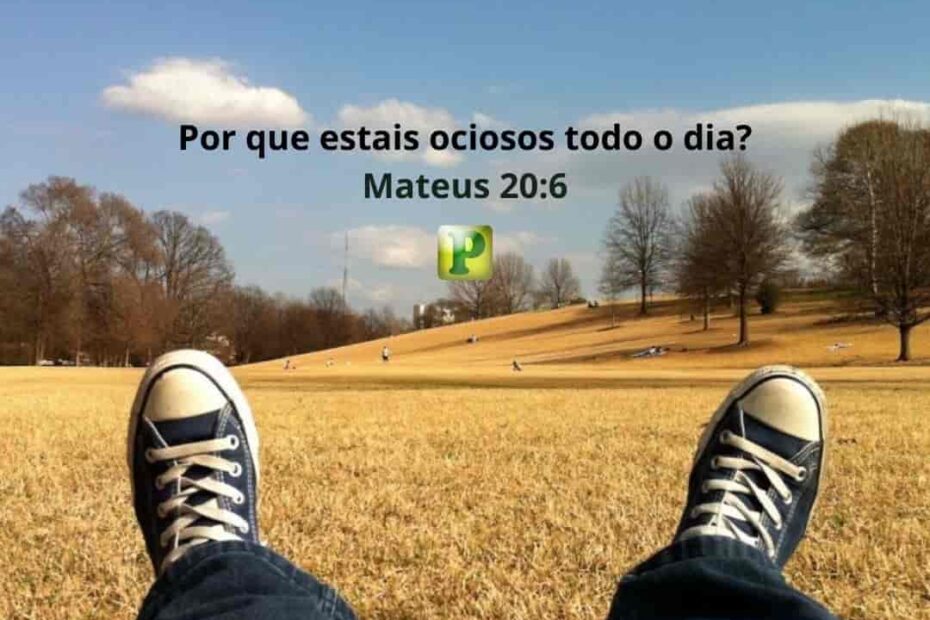 Por que estais ociosos todo o dia? - Mateus 20:6