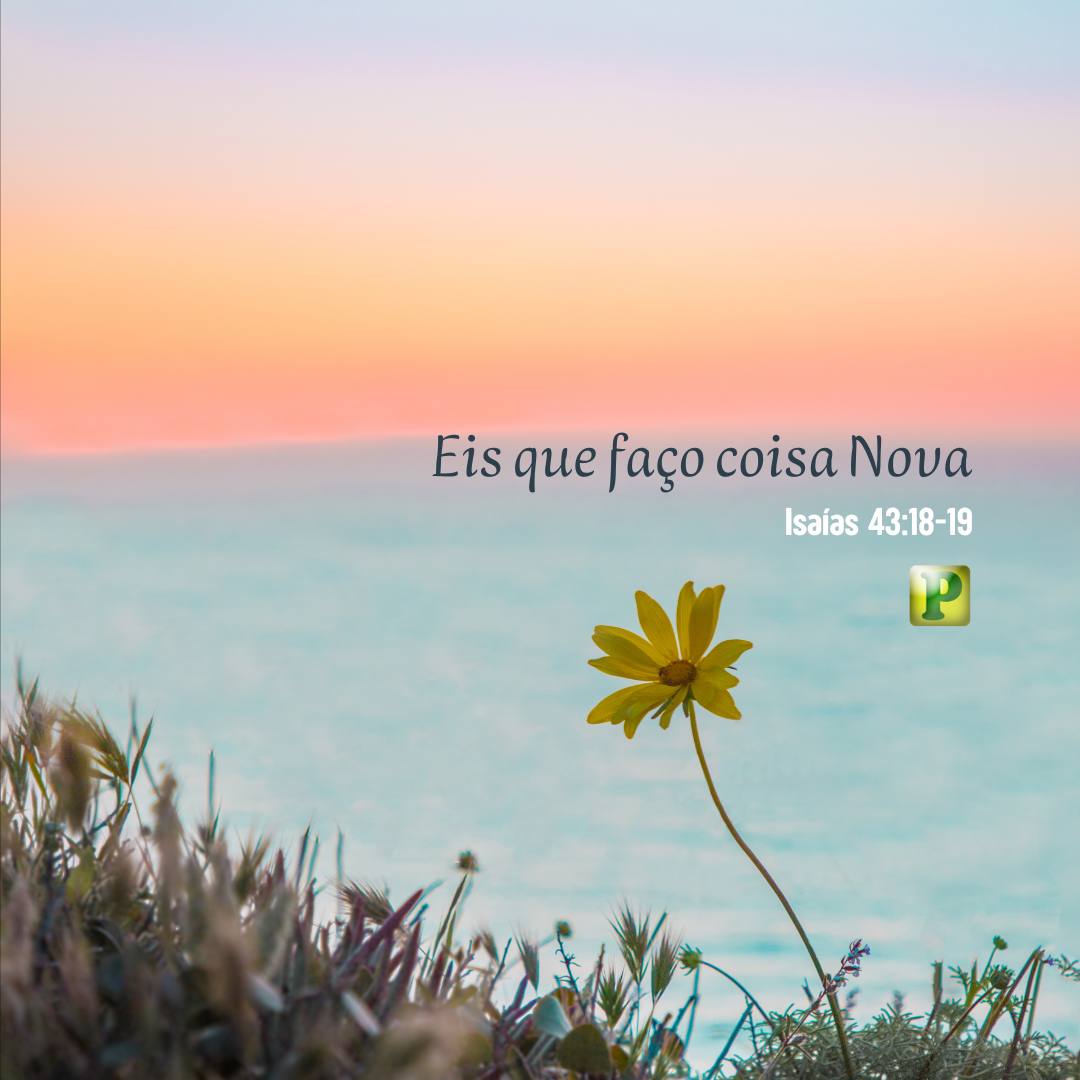 Eis que faço coisa Nova - Isaías 43:18-19