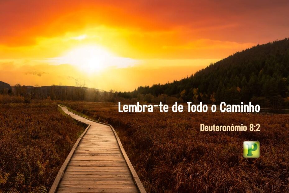 Lembra-te de Todo o Caminho - Deuteronômio 8:2