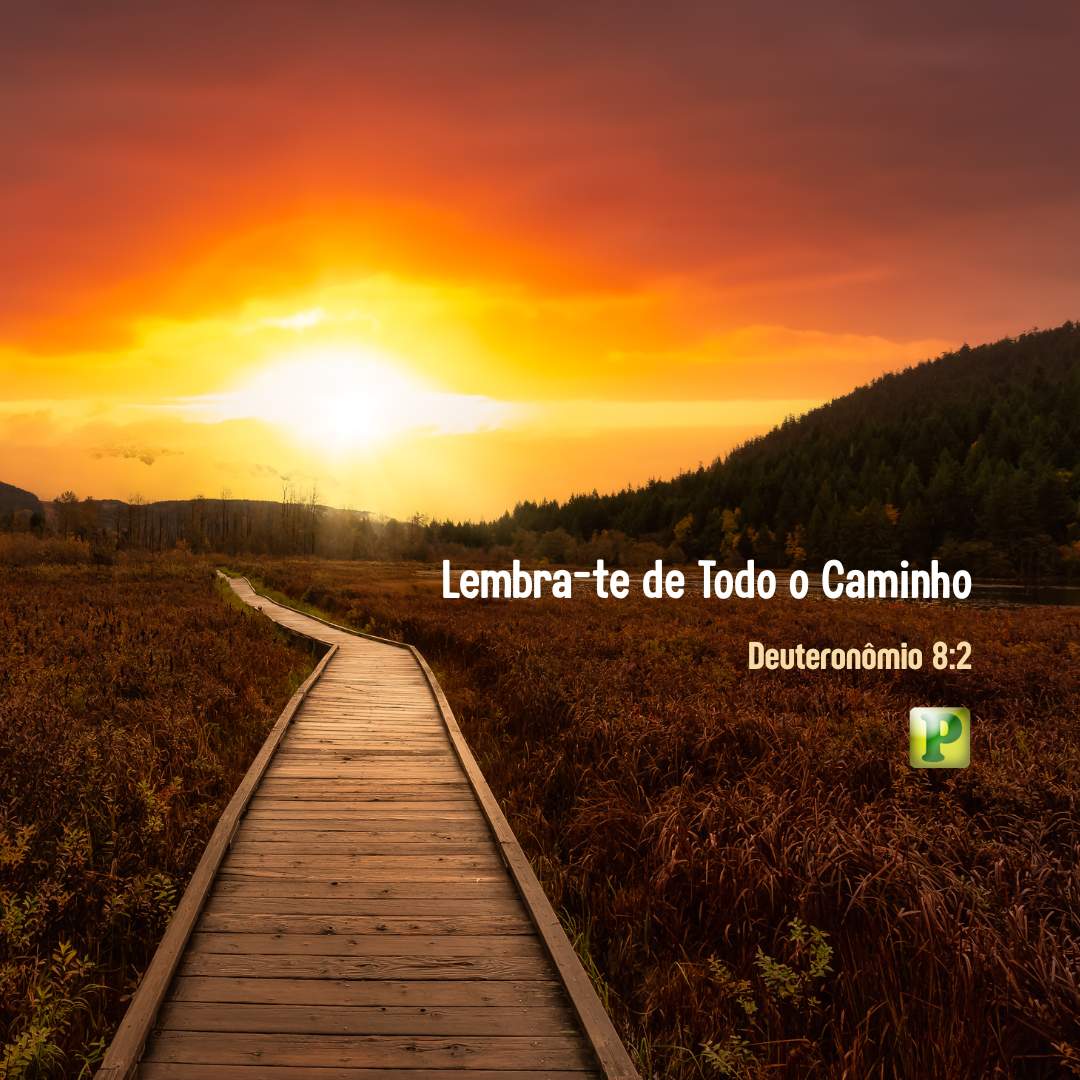 Lembra-te de Todo o Caminho - Deuteronômio 8:2