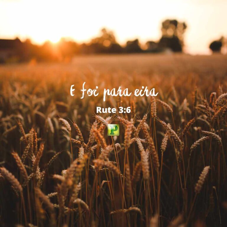 E foi para eira - Rute 3:6