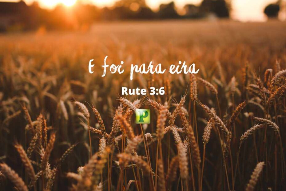 E foi para eira - Rute 3:6
