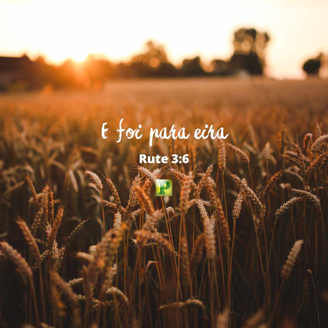 E foi para eira - Rute 3:6