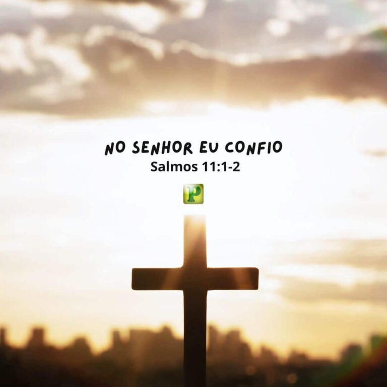 No Senhor eu confio – Salmos 11:1-2