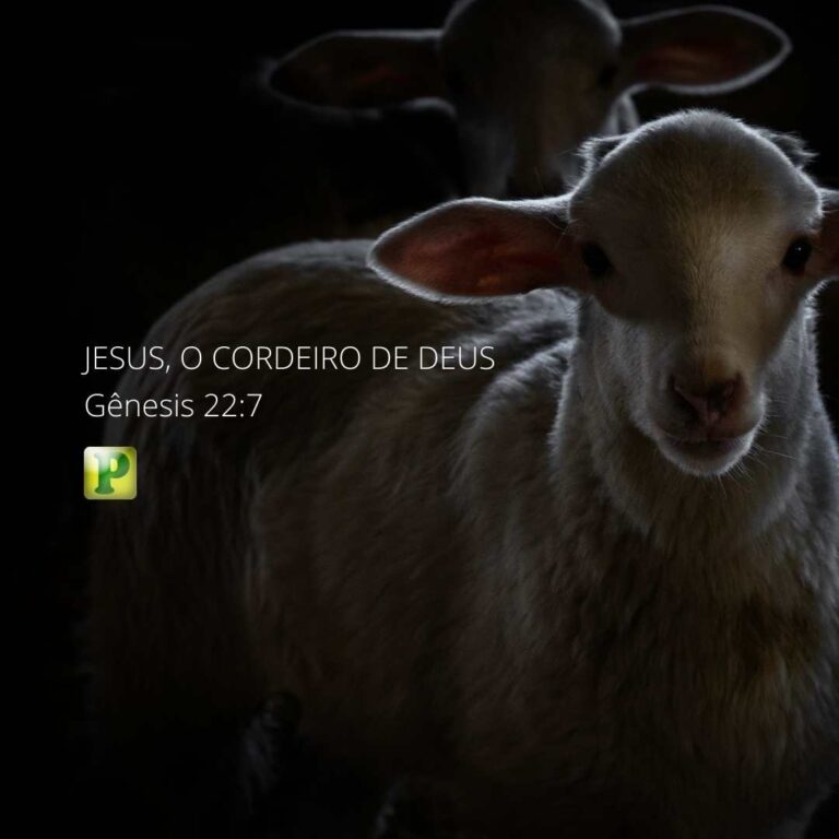 Jesus, o cordeiro de Deus – Gênesis 22:7