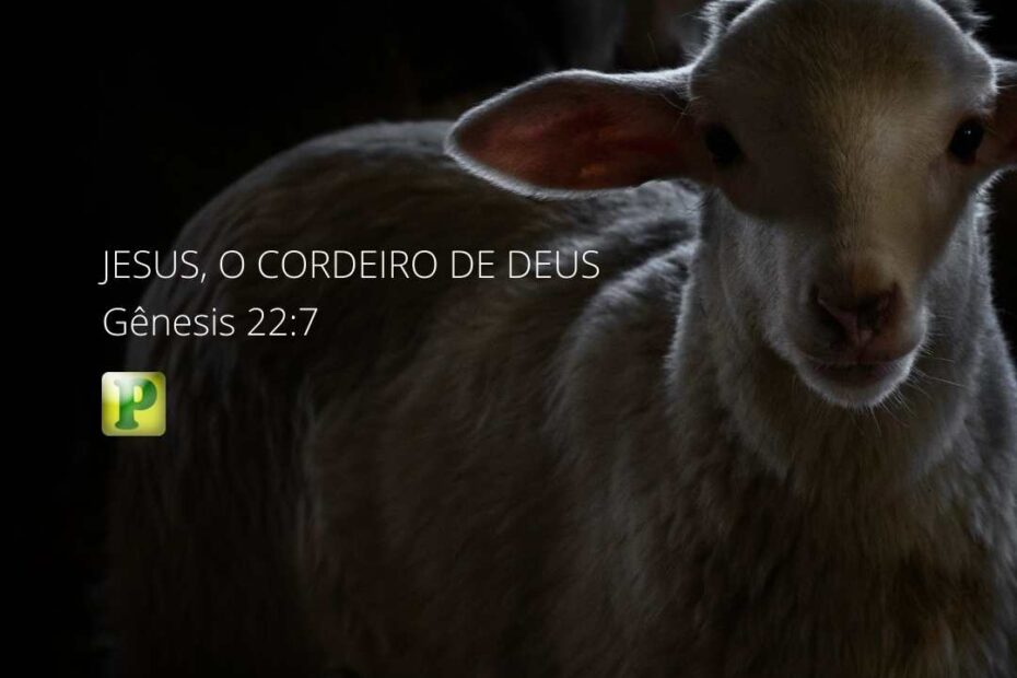Jesus, o cordeiro de Deus - Pregação em Gênesis 22:7