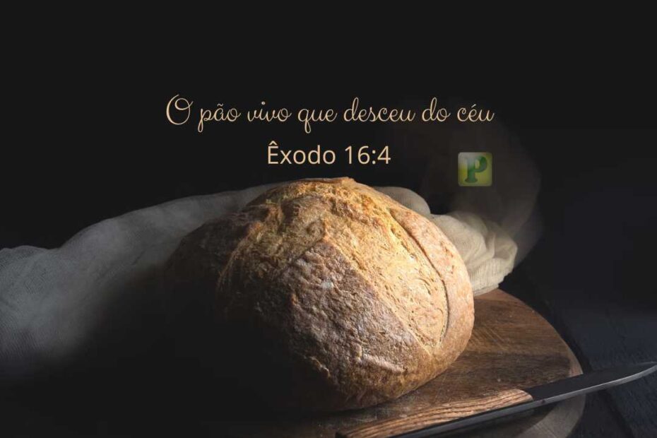 O pão vivo que desceu do céu - Pregação Êxodo 16:4