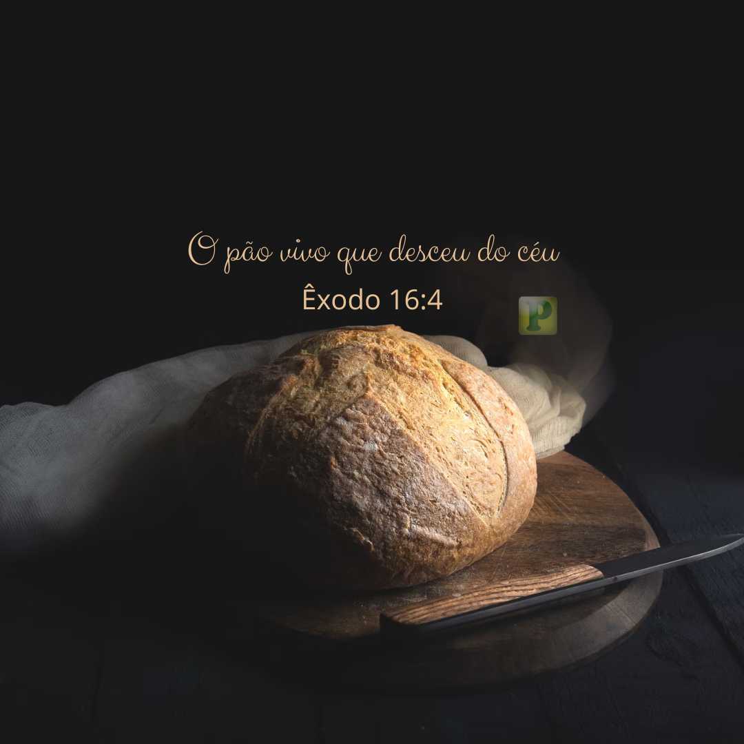 O pão vivo que desceu do céu - Pregação Êxodo 16:4