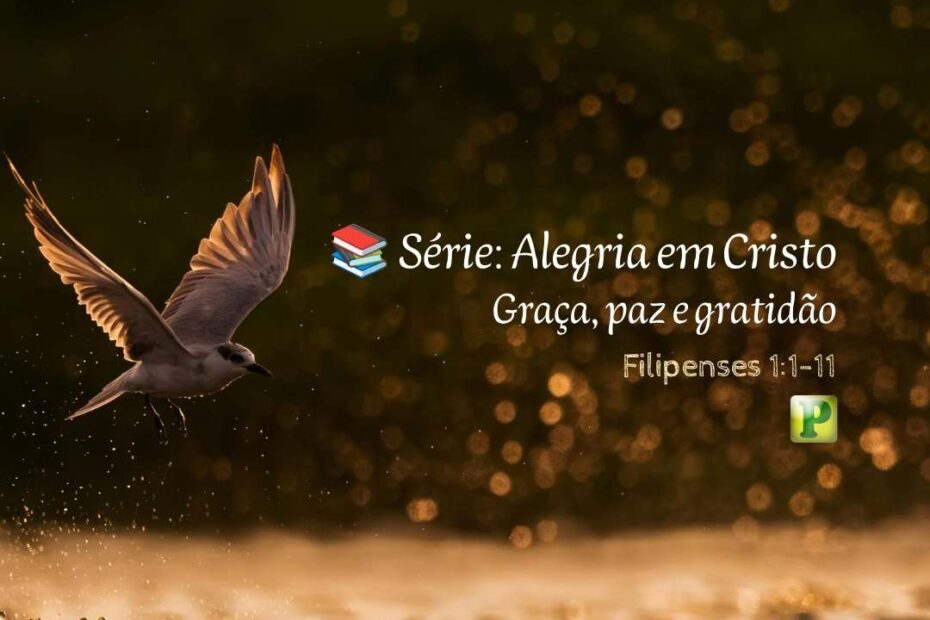 Graça, paz e gratidão - Pregação Expositiva em Filipenses 11-11
