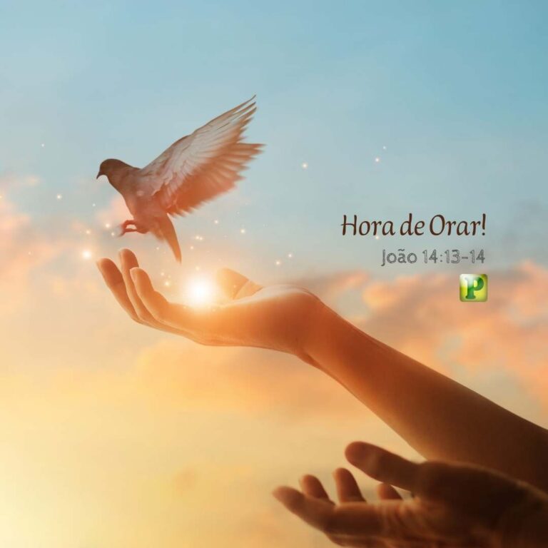 Hora de Orar! – João 14:13-14