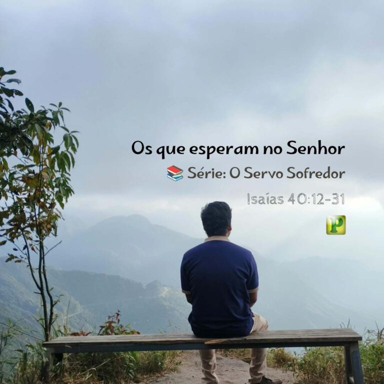 Os que esperam no Senhor – Isaías 40:12-31