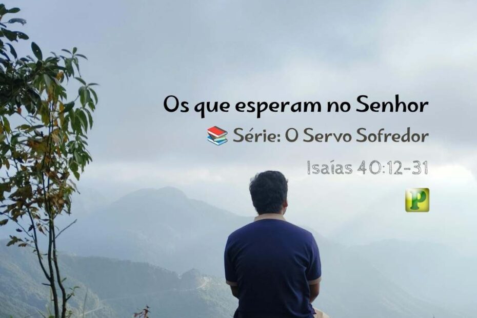 Os que esperam no Senhor - Pregação Expositiva em Isaías 4012-31