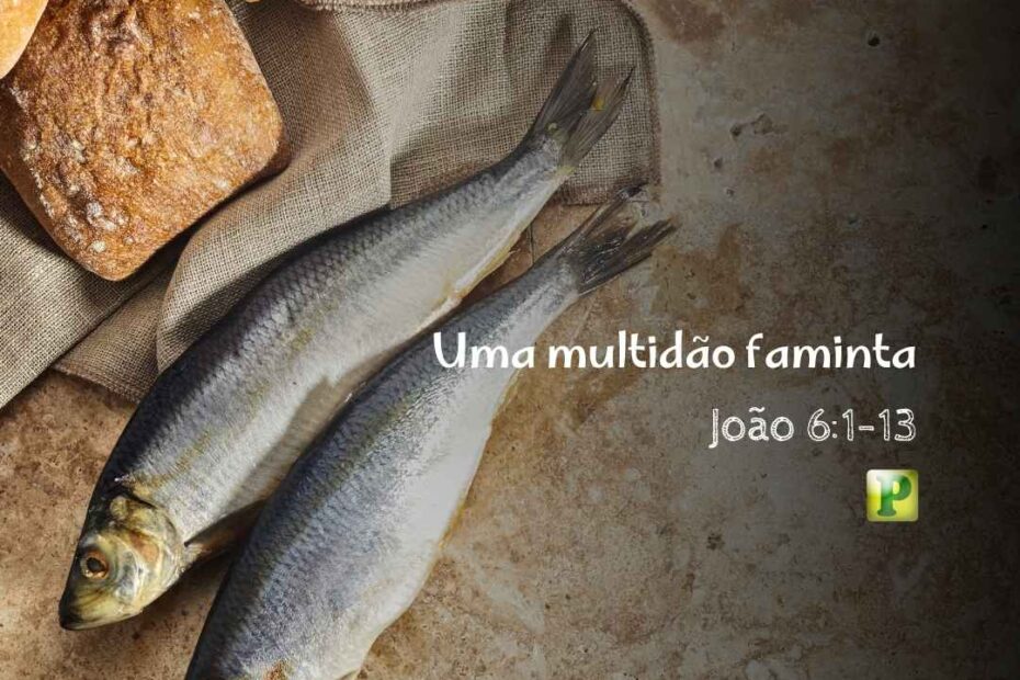 Uma multidão faminta - Pregação Expositiva em João 61-13
