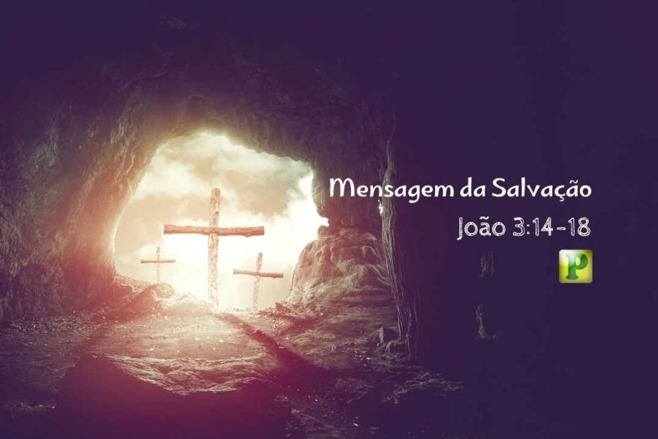 Mensagem da Salvação - Pregação Expositiva em João 314-18