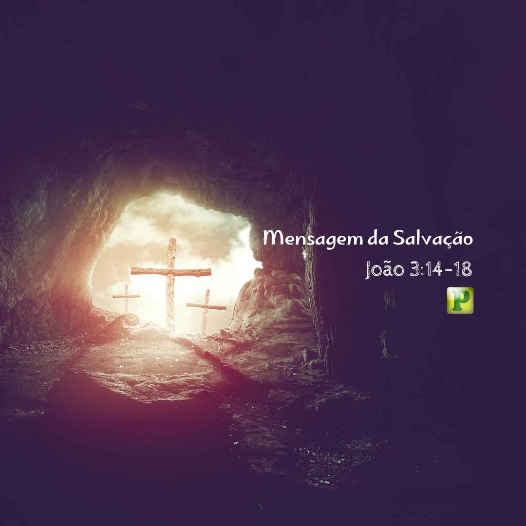 Mensagem da Salvação - Pregação Expositiva em João 314-18