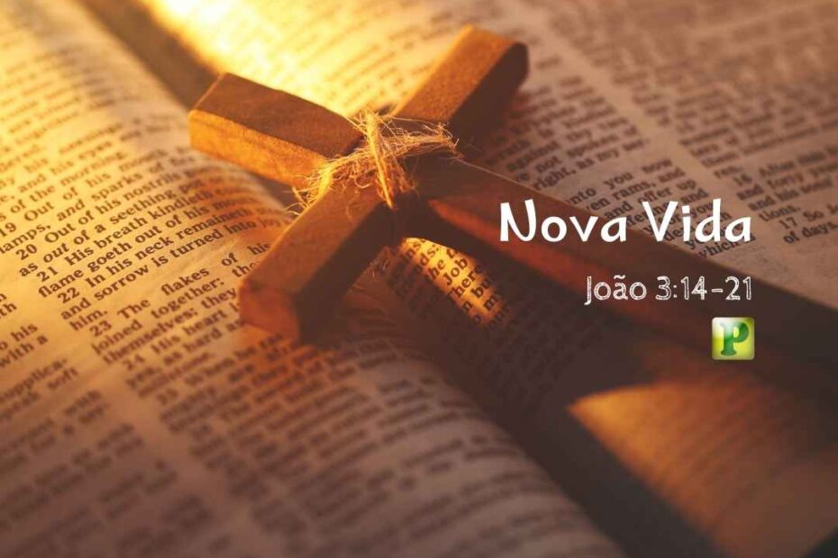 Nova Vida - Pregação Expositiva em João 314-21
