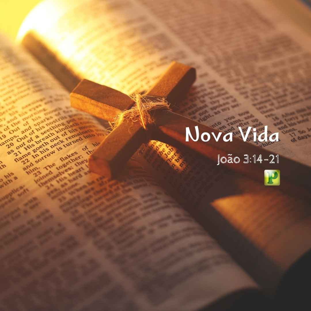 Nova Vida - Pregação Expositiva em João 314-21