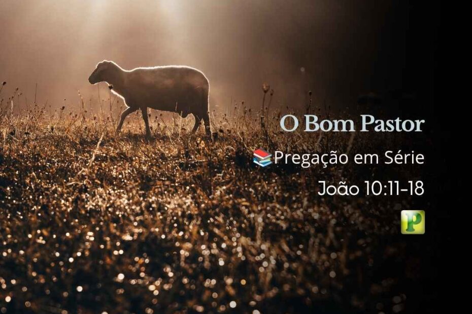 O Bom Pastor - Pregação Expositiva em Série João 1011-18