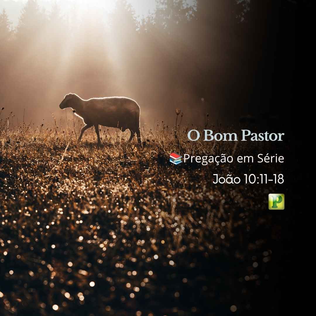O Bom Pastor - Pregação Expositiva em Série João 1011-18