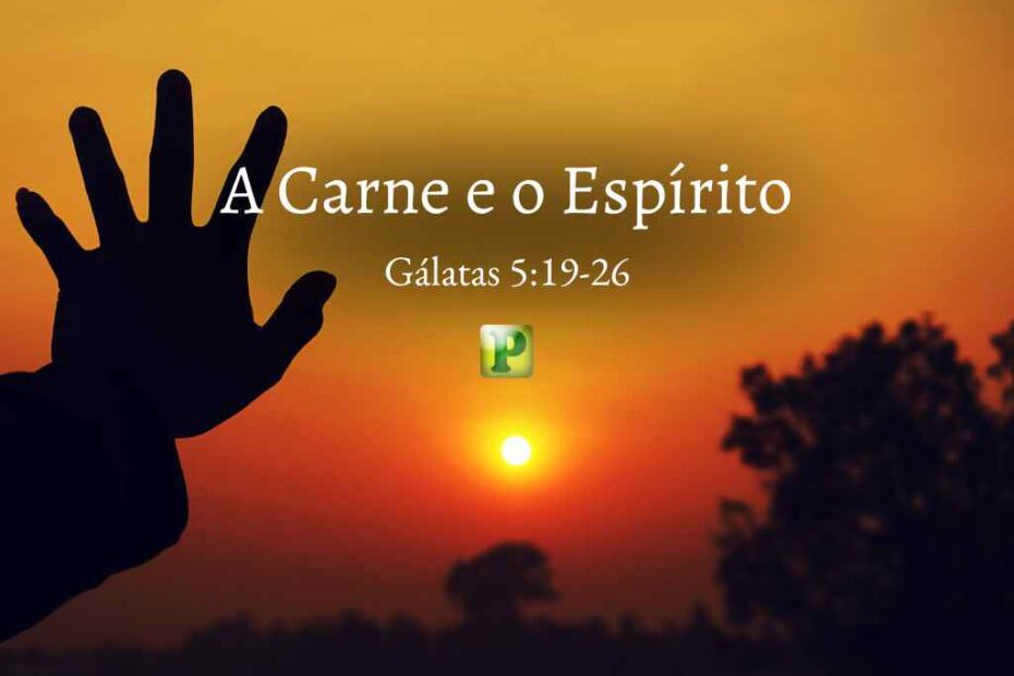 A Carne e o Espírito - Pregação Expositiva em Gálatas 519-26