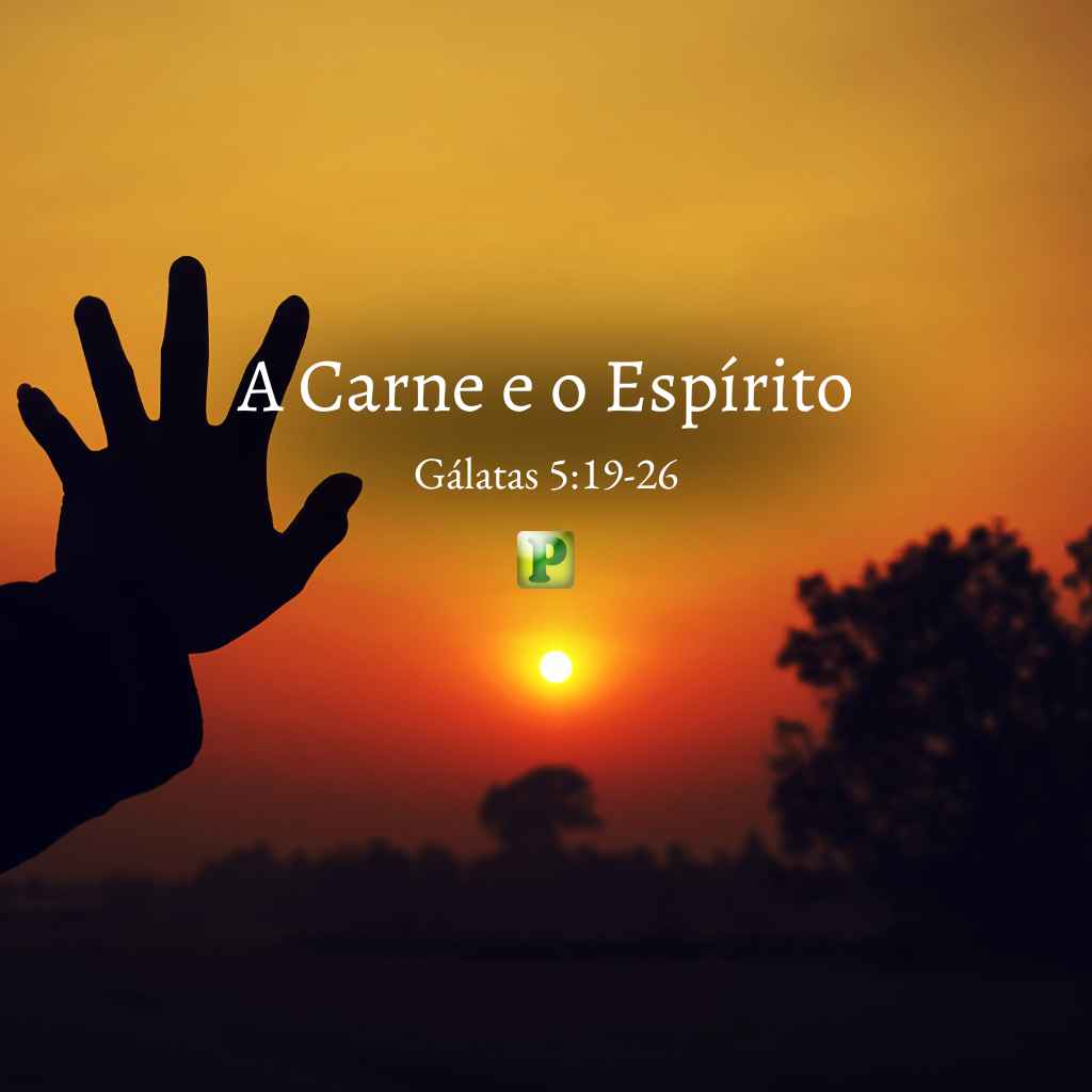 A Carne e o Espírito - Pregação Expositiva em Gálatas 519-26