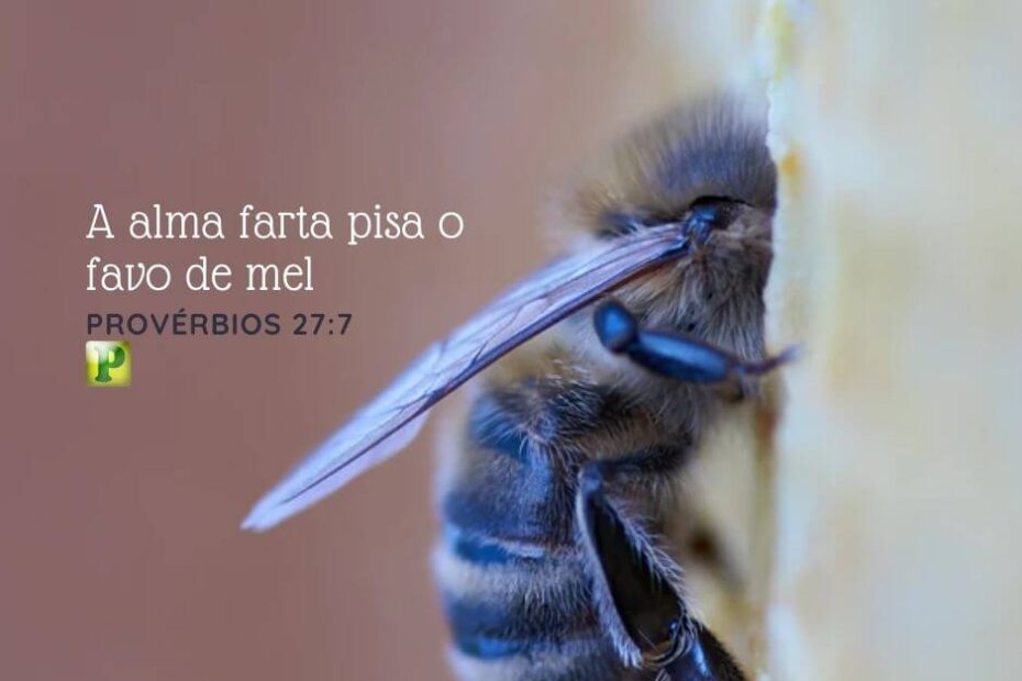 A alma farta pisa o favo de mel - Pregação Narrativa em Provérbios 27:7