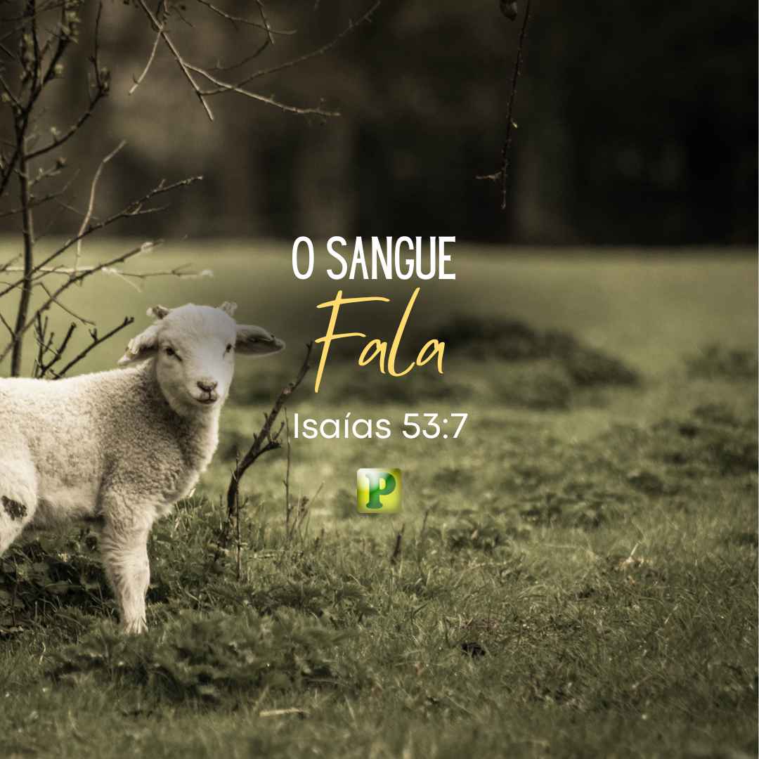 Pregação Expositiva em Isaías 537 - O Sangue fala