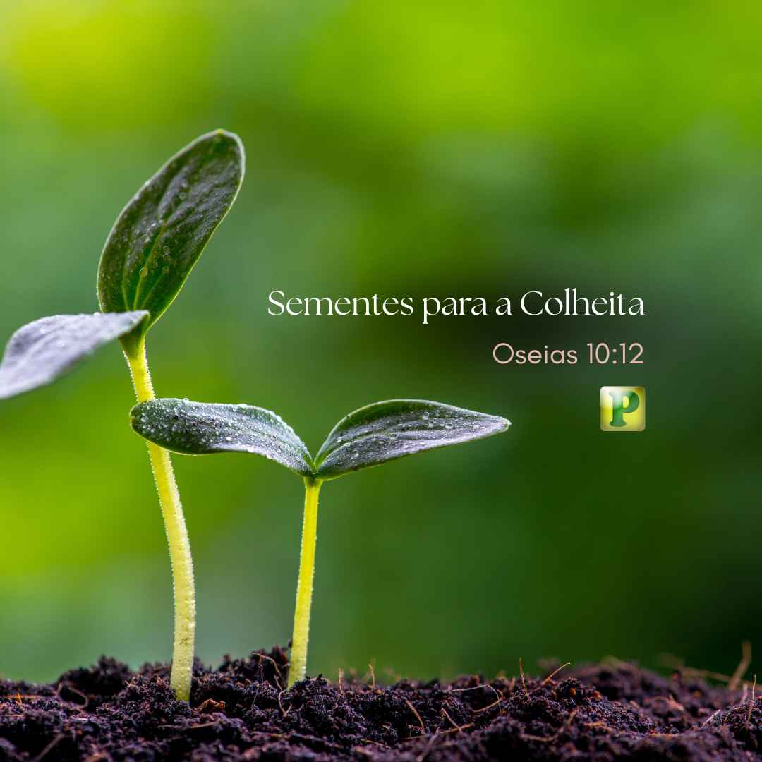 Sementes para a Colheita - Pregação Expositiva em Oseias 1012